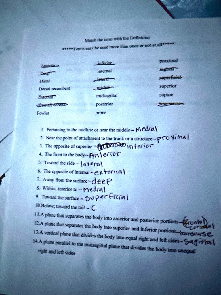 Distal Def match the term with the definition terms may be used more than once or ...