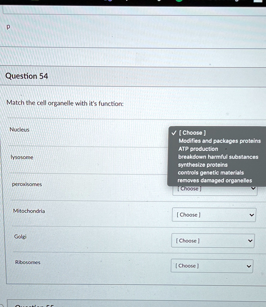 Question 54
Match the cell organelle with it's function:
Nucleus
lysosome
peroxisomes
Mitochondria
Golgi
Ribosomes

[ Choose ]
Modifies and packages proteins
ATP production
breakdown harmful substances
synthesize proteins
controls genetic materials
removes damaged organelles