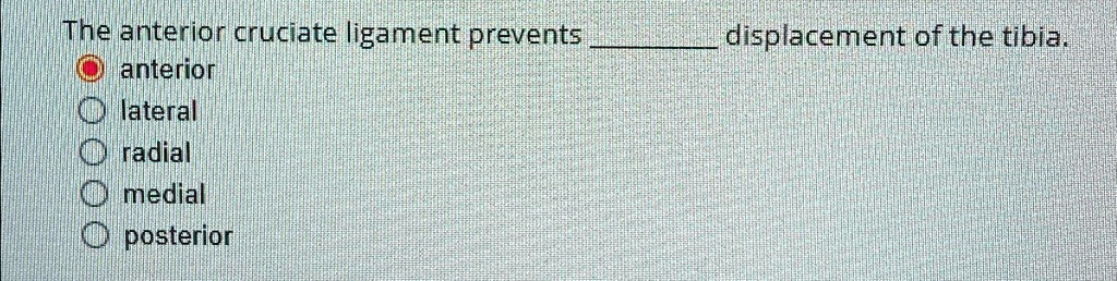 SOLVED: The anterior cruciate ligament prevents displacement of the ...