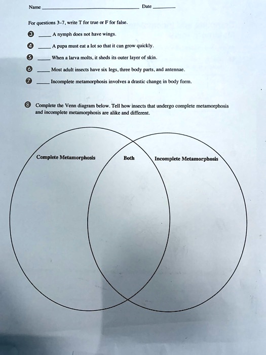 Name  Date 
For questions 3–7, write T for true or F for false.
3  A nymph does not have wings.
4  A pupa must eat a lot so that it can grow quickly.
5  When a larva molts, it sheds its outer layer of skin.
6  Most adult insects have six legs, three body parts, and antennae.
7  Incomplete metamorphosis involves a drastic change in body form.
8 Complete the Venn diagram below. Tell how insects that undergo complete metamorphosis and incomplete metamorphosis are alike and different.
Complete Metamorphosis
Both
Incomplete Metamorphosis