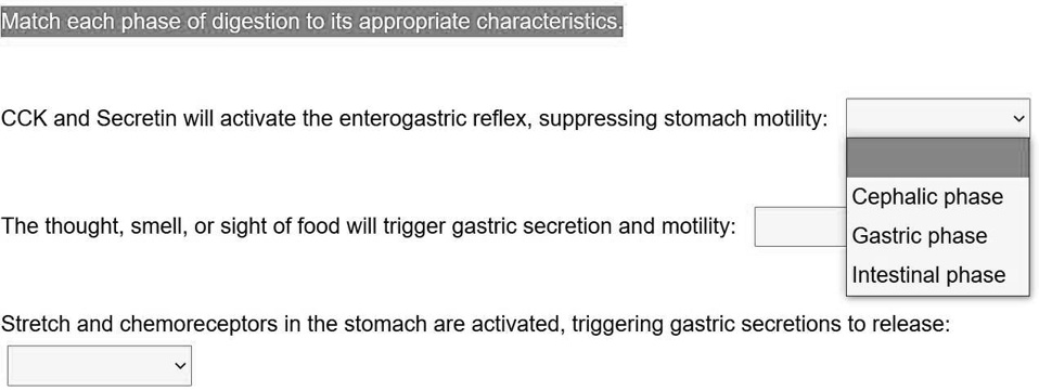 SOLVED: Text: Match each phase of digestion to its appropriate ...