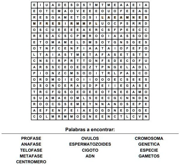 SOLVED: Me ayudan con la sopa de letras Palabras a encontrar: PROFASE ...