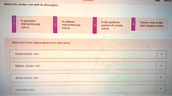 Match the cardiac vein with its description.

1 In posterior interventricular sulcus
2 In anterior interventricular sulcus
3 In the posterior portion of coronary sulcus
4 Travels close to the right marginal artery

Match each of the options above to the items below.

Great cardiac vein
Middle cardiac vein
Small cardiac vein
Coronary sinus