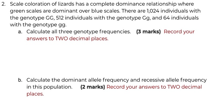 2. Scale coloration of lizards has a complete dominance relationship where green scales are dominant over blue scales. There are 1,024 individuals with the genotype GG, 512 individuals with the genotype Gg, and 64 individuals with the genotype gg.
a. Calculate all three genotype frequencies. Record your answers to TWO decimal places.
b. Calculate the dominant allele frequency and recessive allele frequency in this population. Record your answers to TWO decimal places.