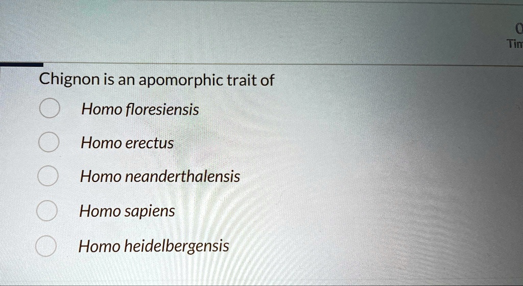 Chignon is an apomorphic trait of Homo floresiensis Homo erectus Homo ...