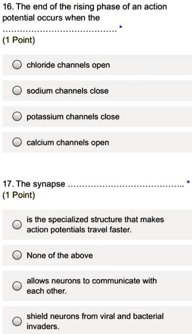 16. The end of the rising phase of an action potential occurs when the

chloride channels open
sodium channels close
potassium channels close
calcium channels open

17. The synapse

is the specialized structure that makes action potentials travel faster.
None of the above
allows neurons to communicate with each other.
shield neurons from viral and bacterial invaders.