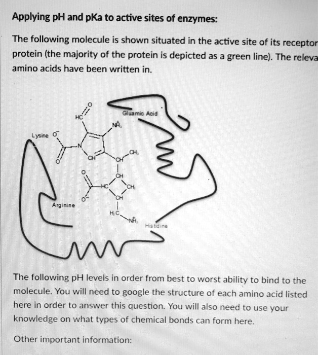 Applying pH and pKa to active sites of enzymes: The following molecule ...