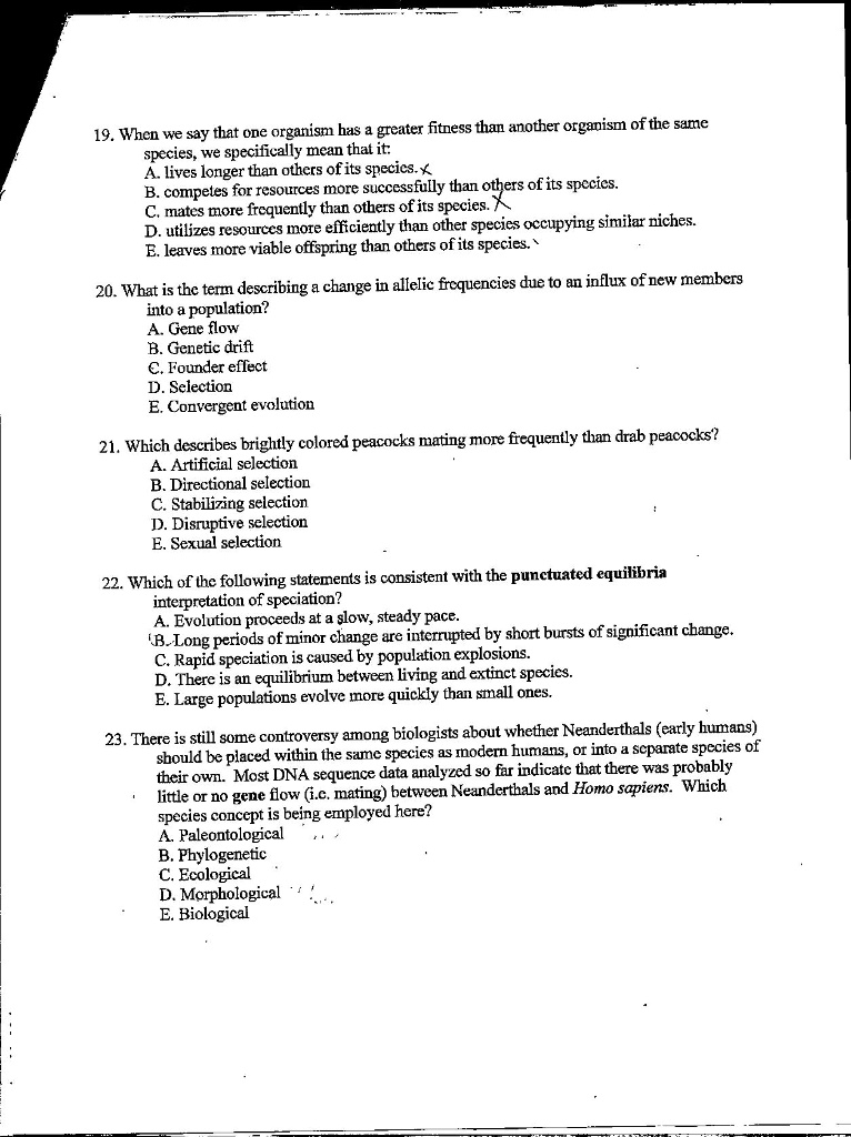 19. When we say that one organism has a greater fitness than another organism of the same species, we specifically mean that it:
A. lives longer than others of its species.
B. competes for resources more successfully than others of its species.
C. mates more frequently than others of its species.
D. utilizes resources more efficiently than other species occupying similar niches.
E. leaves more viable offspring than others of its species.

20. What is the term describing a change in allelic frequencies due to an influx of new members into a population?
A. Gene flow
B. Genetic drift
C. Founder effect
D. Selection
E. Convergent evolution

21. Which describes brightly colored peacocks mating more frequently than drab peacocks?
A. Artificial selection
B. Directional selection
C. Stabilizing selection
D. Disruptive selection
E. Sexual selection

22. Which of the following statements is consistent with the punctuated equilibria interpretation of speciation?
A. Evolution proceeds at a slow, steady pace.
B. Long periods of minor change are interrupted by short bursts of significant change.
C. Rapid speciation is caused by population explosions.
D. There is an equilibrium between living and extinct species.
E. Large populations evolve more quickly than small ones.

23. There is still some controversy among biologists about whether Neanderthals (early humans) should be placed within the same species as modern humans, or into a separate species of their own. Most DNA sequence data analyzed so far indicate that there was probably little or no gene flow (i.e. mating) between Neanderthals and Homo sapiens. Which species concept is being employed here?
A. Paleontological
B. Phylogenetic
C. Ecological
D. Morphological
E. Biological
