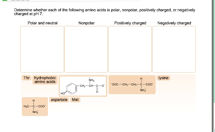 are hydrophobic amino acids polar or nonpolar