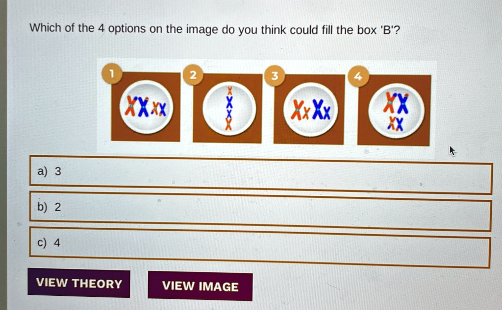 Which Of The 4 Options On The Image Do You Think Could Fill The Box 'B ...