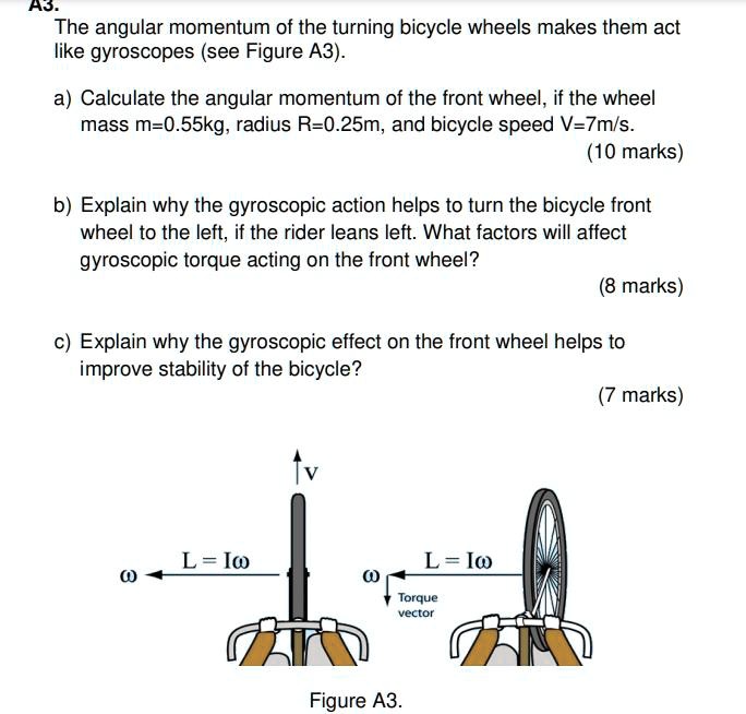 SOLVED The angular momentum of the turning bicycle wheels makes them