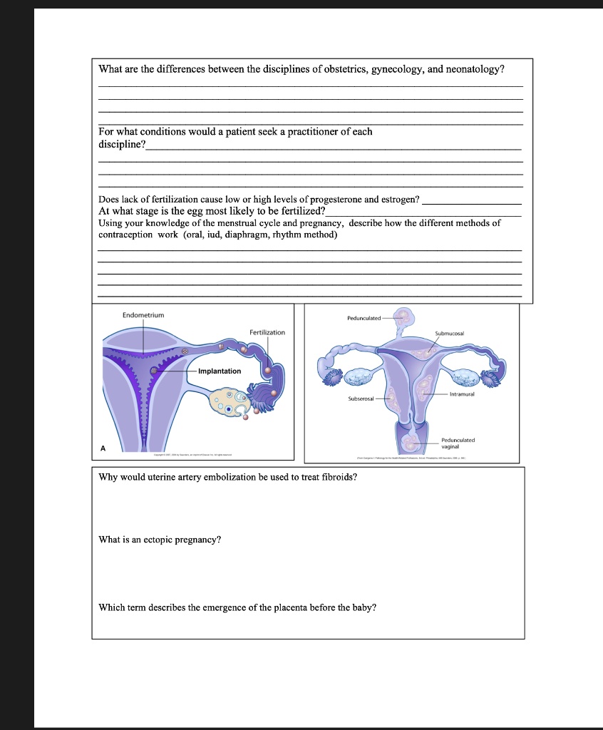 SOLVED: What are the differences between the disciplines of obstetrics ...