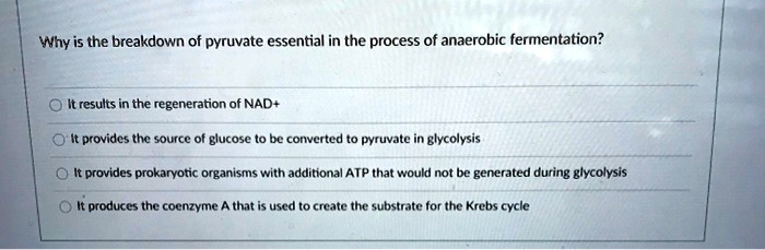 Why is the breakdown of pyruvate essential in the process of anaerobic fermentation?

It results in the regeneration of NAD+
It provides the source of glucose to be converted to pyruvate in glycolysis
It provides prokaryotic organisms with additional ATP that would not be generated during glycolysis
It produces the coenzyme A that is used to create the substrate for the Krebs cycle