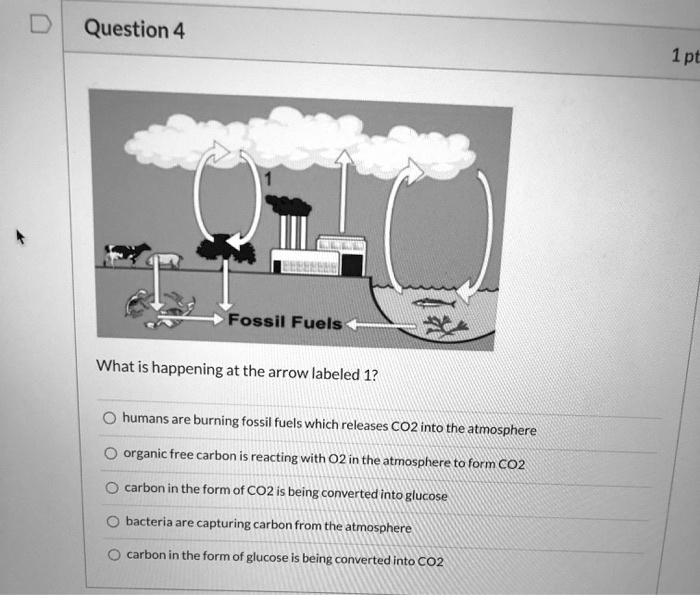 question 4 1pt fossil fuels what is happening at the arrow labeled 1 ...