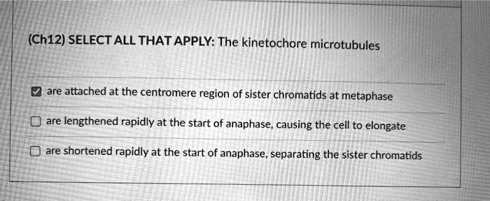 SELECT ALL THAT APPLY: The kinetochore microtubules

are attached at the centromere region of sister chromatids at metaphase

are lengthened rapidly at the start of anaphase, causing the cell to elongate

are shortened rapidly at the start of anaphase, separating the sister chromatids