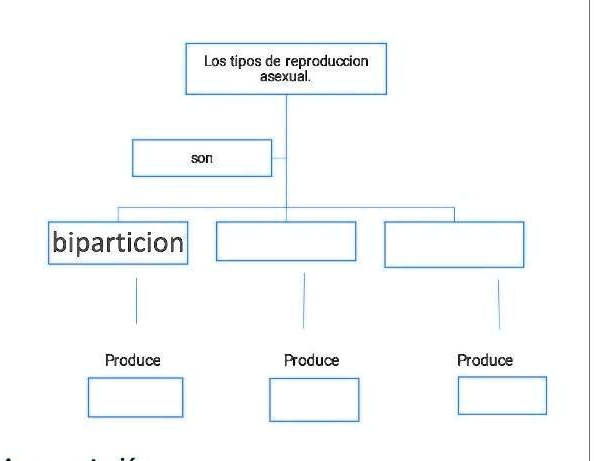 SOLVED Completa El Mapa Conceptual Los Tipos De Reproduccion Asexual