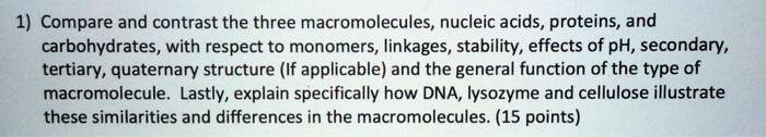 1 compare and contrast the three macromolecules nucleic acids proteins ...