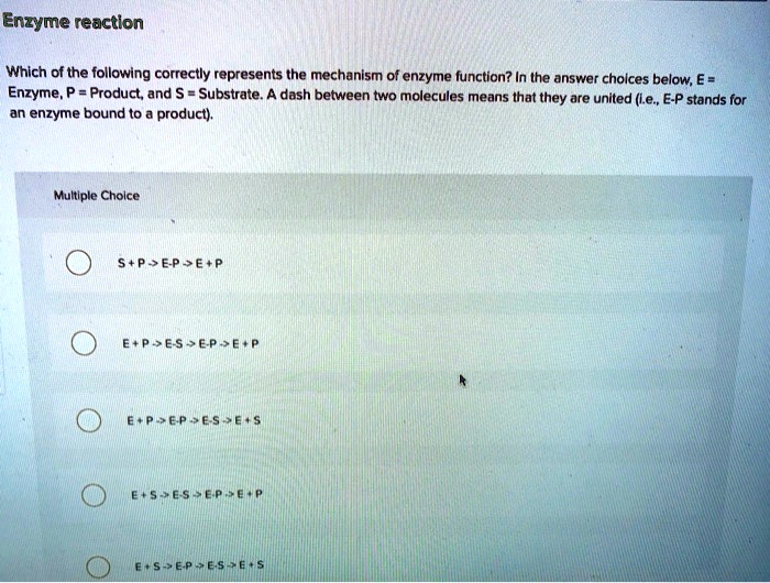 SOLVED Enzyme reaction Which of the following correctly represents the