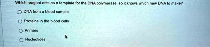SOLVED: Which reagent acts as template for Ihe DNA polymerase so It SOLVED: Which reagent acts as template for Ihe DNA polymerase so It