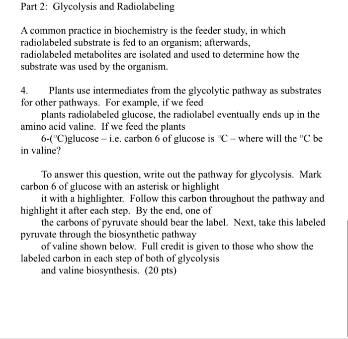 SOLVED Part 2 Glycolysis and Radiolabeling A common practice in
