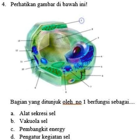 SOLVED: jawan yak okwh :) ;) Perhatikan gambar di bawah inil Bagian ...