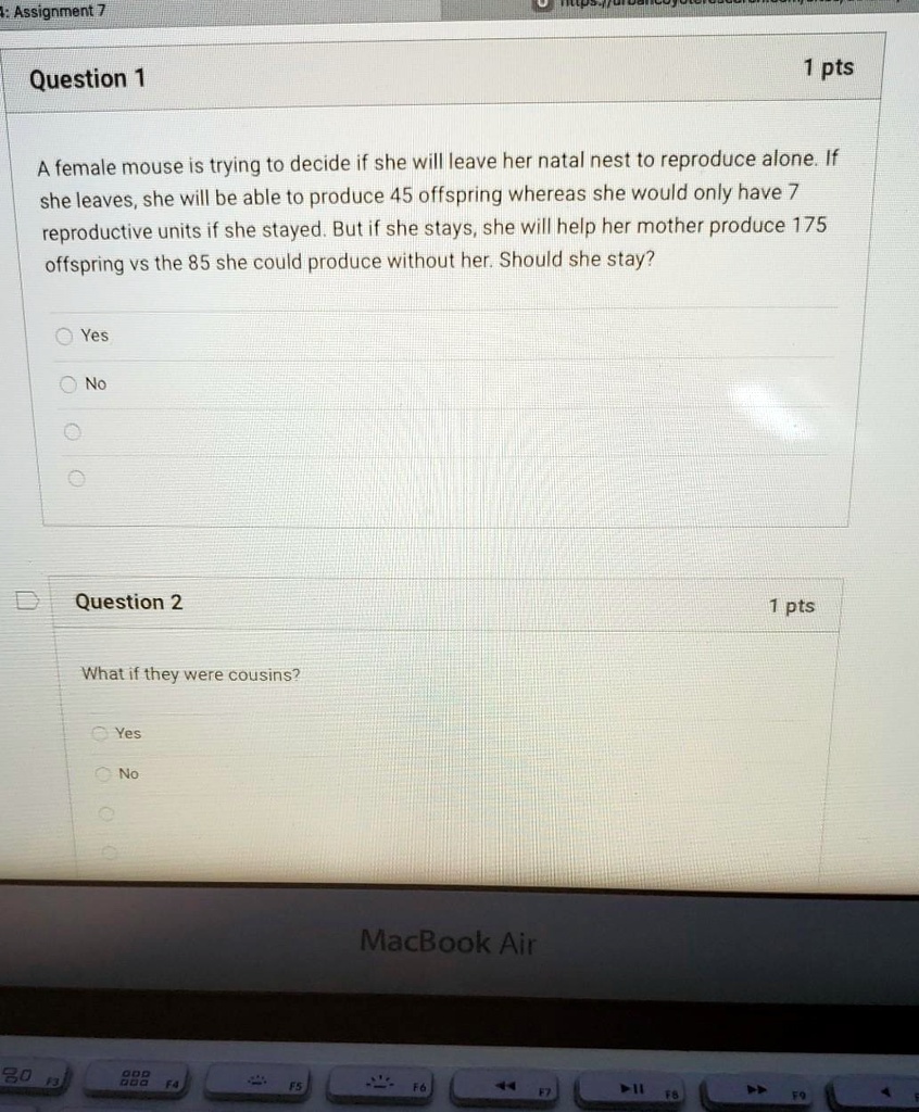 Week 6 homework 2 custom 30 pts picture