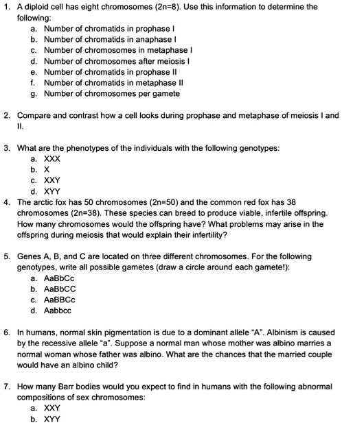 SOLVED: diploid cell has eight chromosomes (2n-8). Use this information