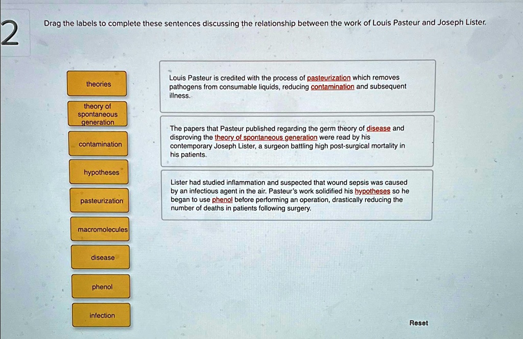 SOLVED: Drag the labels to complete these sentences discussing the ...