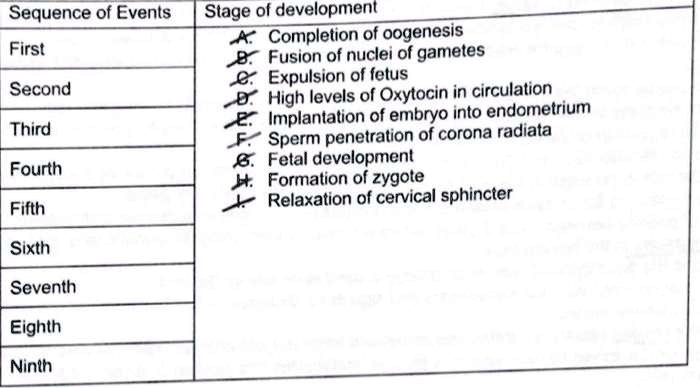 Sequence of Events First Second Third Fourth Fifth Sixth Seventh Eighth ...