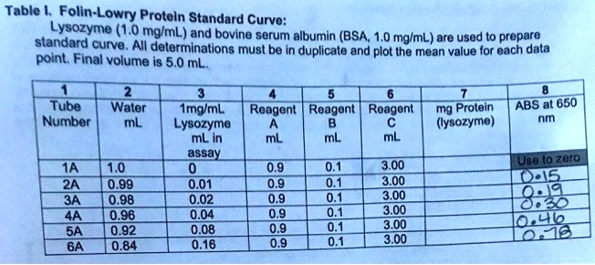 Table I. Folin-Lowry Protein Standard Curve:
Lysozyme (1.0 mg/mL) and bovine serum albumin (BSA, 1.0 mg/mL) are used to prepare standard curve. All determinations must be in duplicate and plot the mean value for each data point. Final volume is 5.0 mL.

1 | 2 | 3 | 4 | 5 | 6 | 7 | 8
Tube Number | Water mL | 1mg/mL Lysozyme mL in assay | Reagent A mL | Reagent B mL | Reagent C mL | mg Protein (lysozyme) | ABS at 650 nm
1A | 1.0 | 0 | 0.9 | 0.1 | 3.00 | | Use to zero
2A | 0.99 | 0.01 | 0.9 | 0.1 | 3.00 | | 0.15
3A | 0.98 | 0.02 | 0.9 | 0.1 | 3.00 | | 0.19
4A | 0.96 | 0.04 | 0.9 | 0.1 | 3.00 | | 0.30
5A | 0.92 | 0.08 | 0.9 | 0.1 | 3.00 | | 0.46
6A | 0.84 | 0.16 | 0.9 | 0.1 | 3.00 | | 0.78