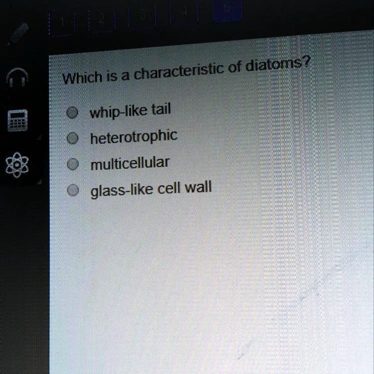 Which is a characteristic of diatoms? whip-like...