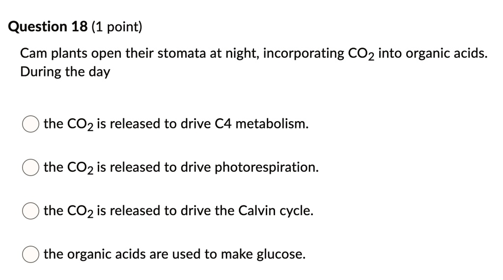 SOLVED Question 18 (1 point) Cam plants open their stomata at night