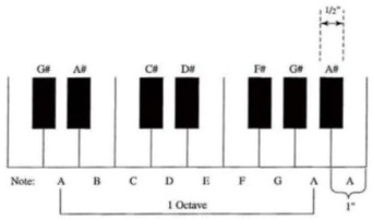 SOLVED: Pianists must often hit keys in very quick succession. The ...