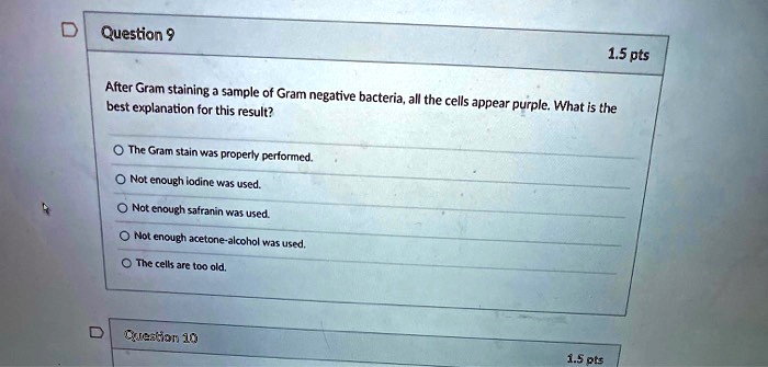 SOLVED: Question 1.5 pts After = Gram staining = sample of Gram ...