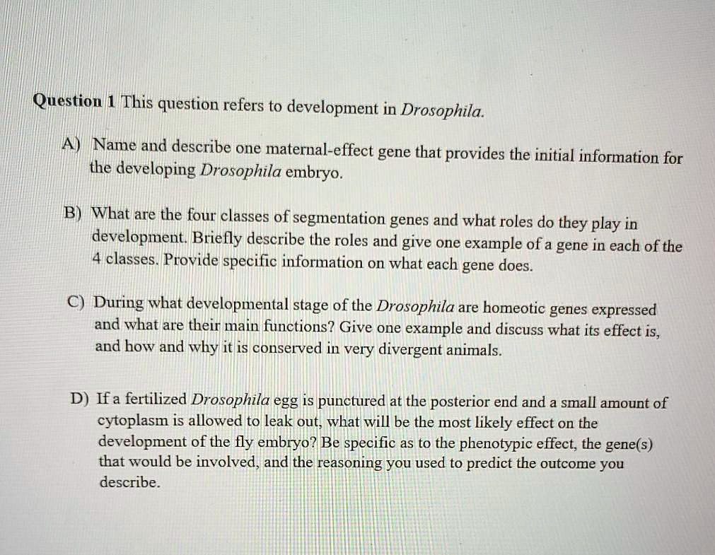 Question 1 This question refers to development in Drosophila.

A) Name and describe one maternal-effect gene that provides the initial information for the developing Drosophila embryo.

B) What are the four classes of segmentation genes and what roles do they play in development? Briefly describe the roles and give one example of a gene in each of the 4 classes. Provide specific information on what each gene does.

C) During what developmental stage of the Drosophila are homeotic genes expressed and what are their main functions? Give one example and discuss what its effect is, and how and why it is conserved in very divergent animals.

D) If a fertilized Drosophila egg is punctured at the posterior end and a small amount of cytoplasm is allowed to leak out, what will be the most likely effect on the development of the fly embryo? Be specific as to the phenotypic effect, the gene(s) that would be involved, and the reasoning you used to predict the outcome you describe.