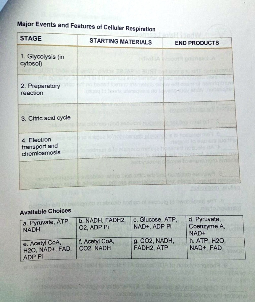 SOLVED 'Major Events and Features of Cellular Respiration Major Events
