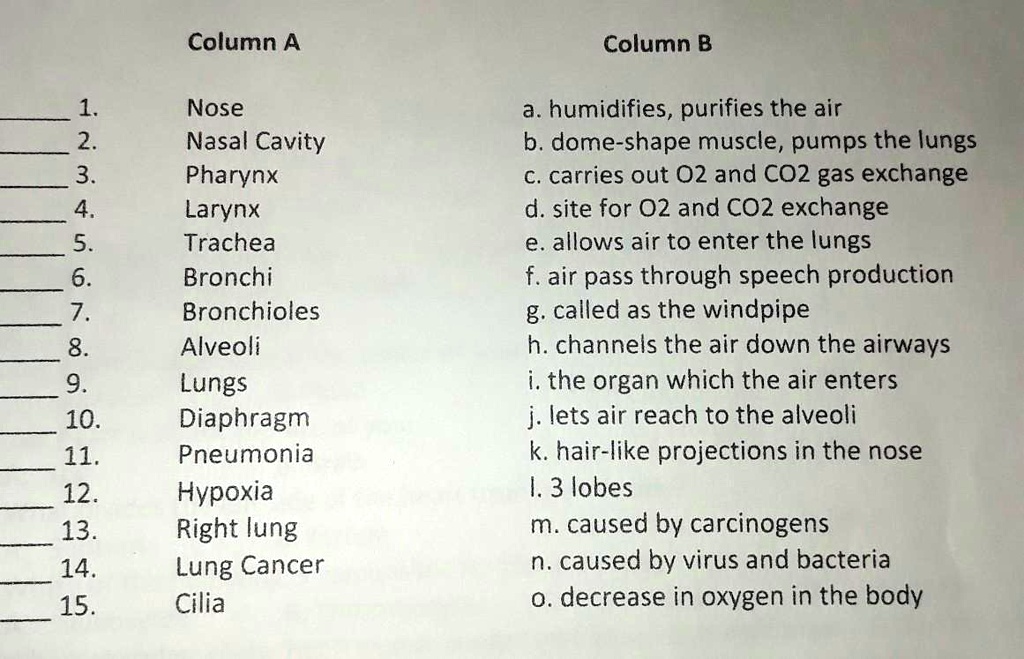 SOLVED: 'i need help here, thank you for answering. Column A Column B 1 ...