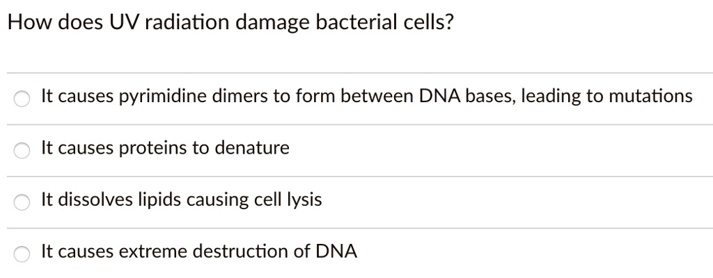 SOLVED: How does UV radiation damage bacterial cells? It causes ...