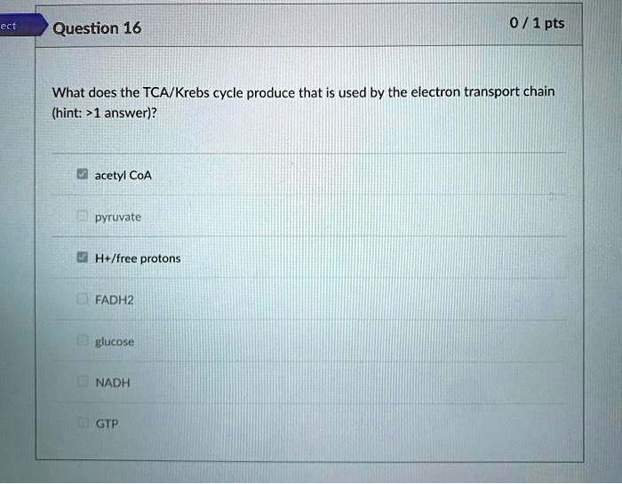 SOLVED ect Question 16 0 / 1 pts What does the TCA/Krebs cycle produce that is used by the
