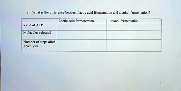SOLVED: What is the difference between lactic acid fermentation and ...