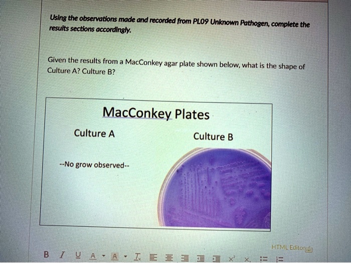 Using the observations made and recorded from PL09 Unknown Pathogen, complete the results sections accordingly.
Given the results from a MacConkey agar plate shown below, what is the shape of Culture A? Culture B?
MacConkey Plates
Culture A
Culture B
–No grow observed–