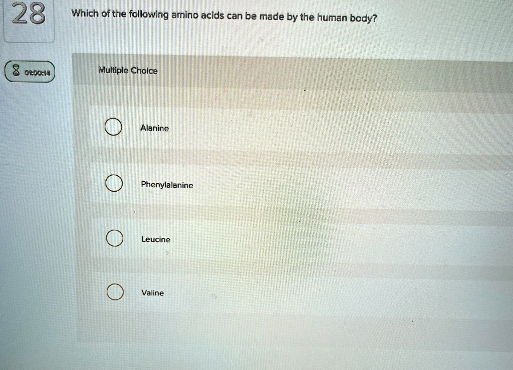 28 which of the following amino acids can be made by the human body