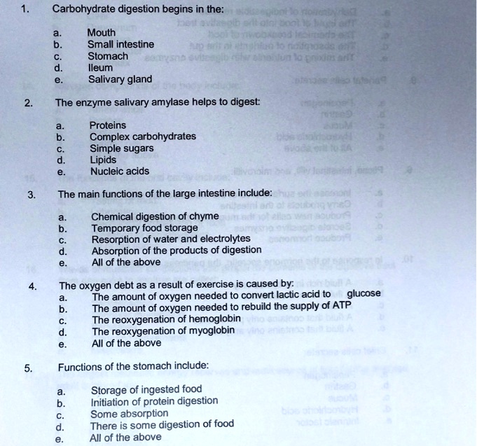 which of the following is not an enzyme used to digest carbohydrates