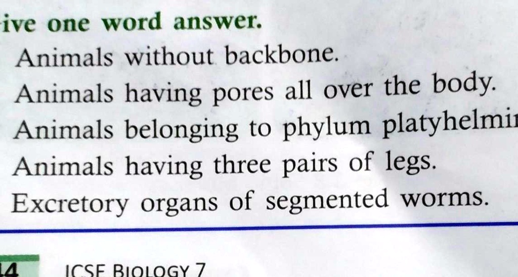 SOLVED: 'PLEASE TELL ...................... ive one word answer: Animals  without backbone: Animals having pores all over the body Animals belonging  to phylum platyhelmit Animals having three pairs of legs. Excretory organs  of