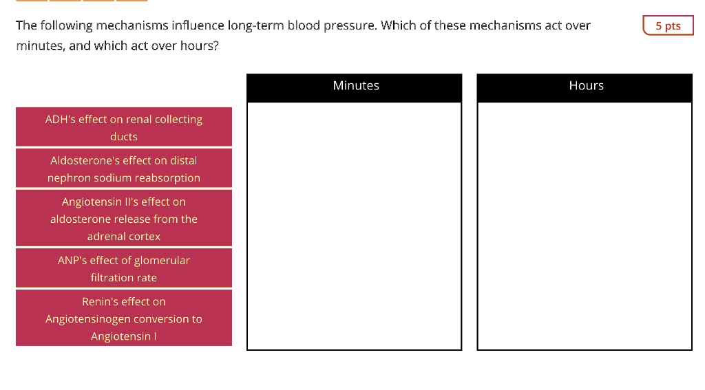 The following mechanisms influence long-term blood pressure. Which of these mechanisms act over
minutes, and which act over hours?

ADH's effect on renal collecting
ducts

Aldosterone's effect on distal
nephron sodium reabsorption

Angiotensin II's effect on
aldosterone release from the
adrenal cortex

ANP's effect of glomerular
filtration rate

Renin's effect on
Angiotensinogen conversion to
Angiotensin I

Minutes

Hours