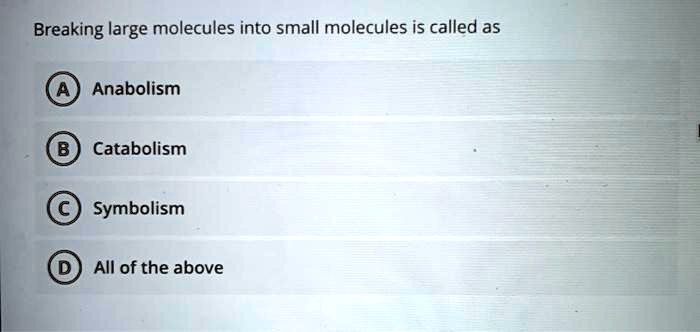 Breaking large molecules into small molecules is called as

(A) Anabolism

(B) Catabolism

(C) Symbolism

(D) All of the above