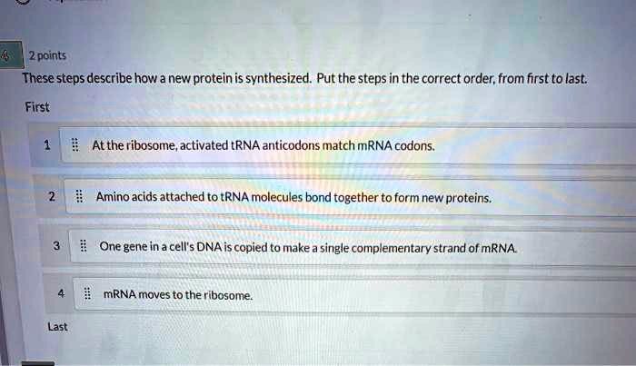 2 points These steps describe how a new protein is synthesized. Put the ...