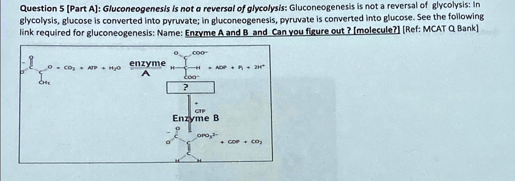 Question 5 [Part A]: Gluconeogenesis is not a reversal of glycolysis ...