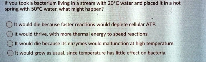 If you took a bacterium living in a stream with 20°C water and placed it in a hot spring with 50°C water, what might happen?

It would die because faster reactions would deplete cellular ATP.
It would thrive, with more thermal energy to speed reactions.
It would die because its enzymes would malfunction at high temperature.
It would grow as usual, since temperature has little effect on bacteria.