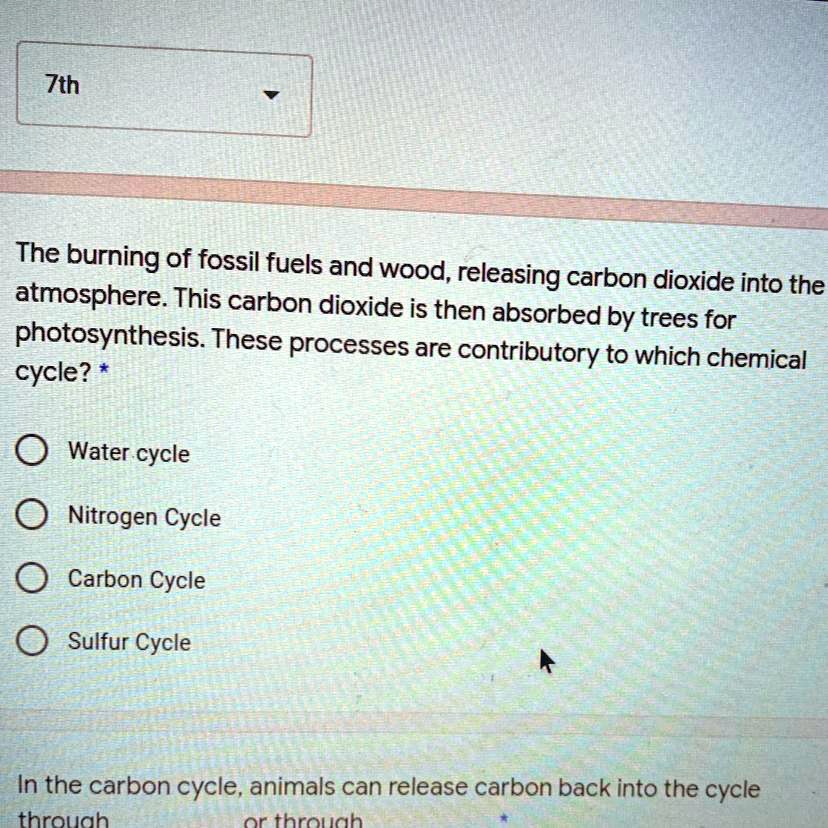 SOLVED: 'Help!!! I need the answer really quick 7th The burning of fossil  fuels and wood, releasing carbon dioxide into the atmosphere. This carbon  dioxide is then absorbed by trees for photosynthesis